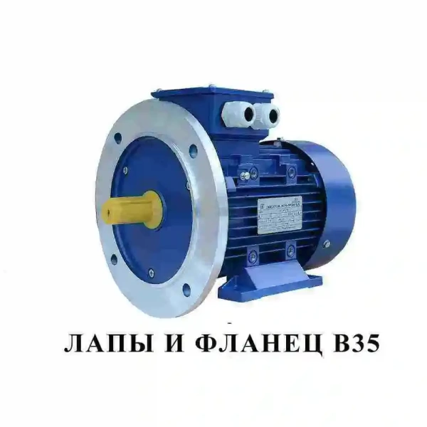 Электродвигатель АИР 100 L6 (2.2 кВт 1000 об/мин) Электродвигатель АИР 100 L6 (2.2 кВт 1000 об/мин)